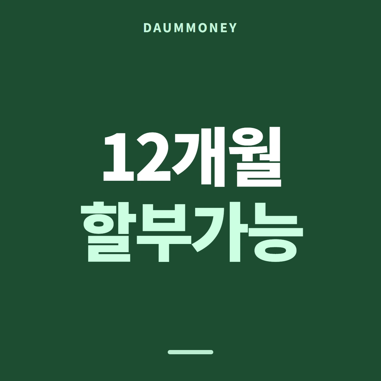 12개월 할부가능